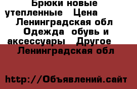 Брюки новые  утепленные › Цена ­ 700 - Ленинградская обл. Одежда, обувь и аксессуары » Другое   . Ленинградская обл.